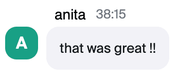 Zoom chat message from Anita: "that was great !!"