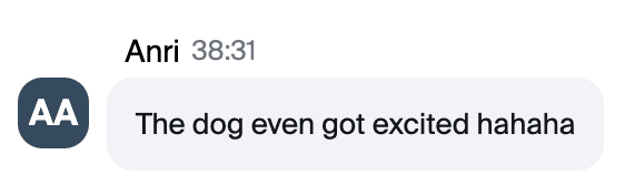 Zoom chat message from Anri: "The dog even got excited hahaha"