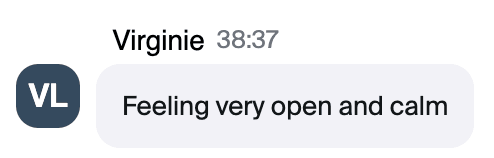 Zoom chat message from Virginie: "Feeling very open and calm"