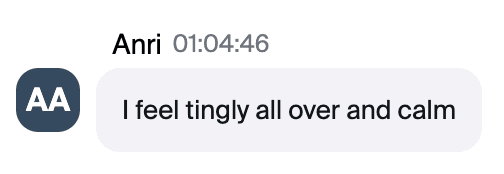 Zoom chat message from Anri: "I feel tingly all over and calm"