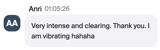 Zoom chat message from Anri: "Very intense and clearing. Thank you. I am vibrating hahaha"