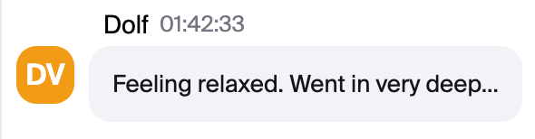 Zoom chat message from Dolf: "Feeling relaxed. Went in very deep..."