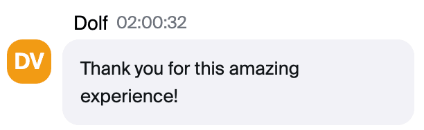 Zoom chat message from Dolf: "Thank you for this amazing experience!"