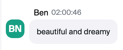 Zoom chat message from Ben: "beautiful and dreamy"